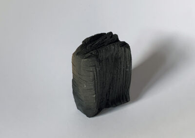 Buch Droste-Hülshoff