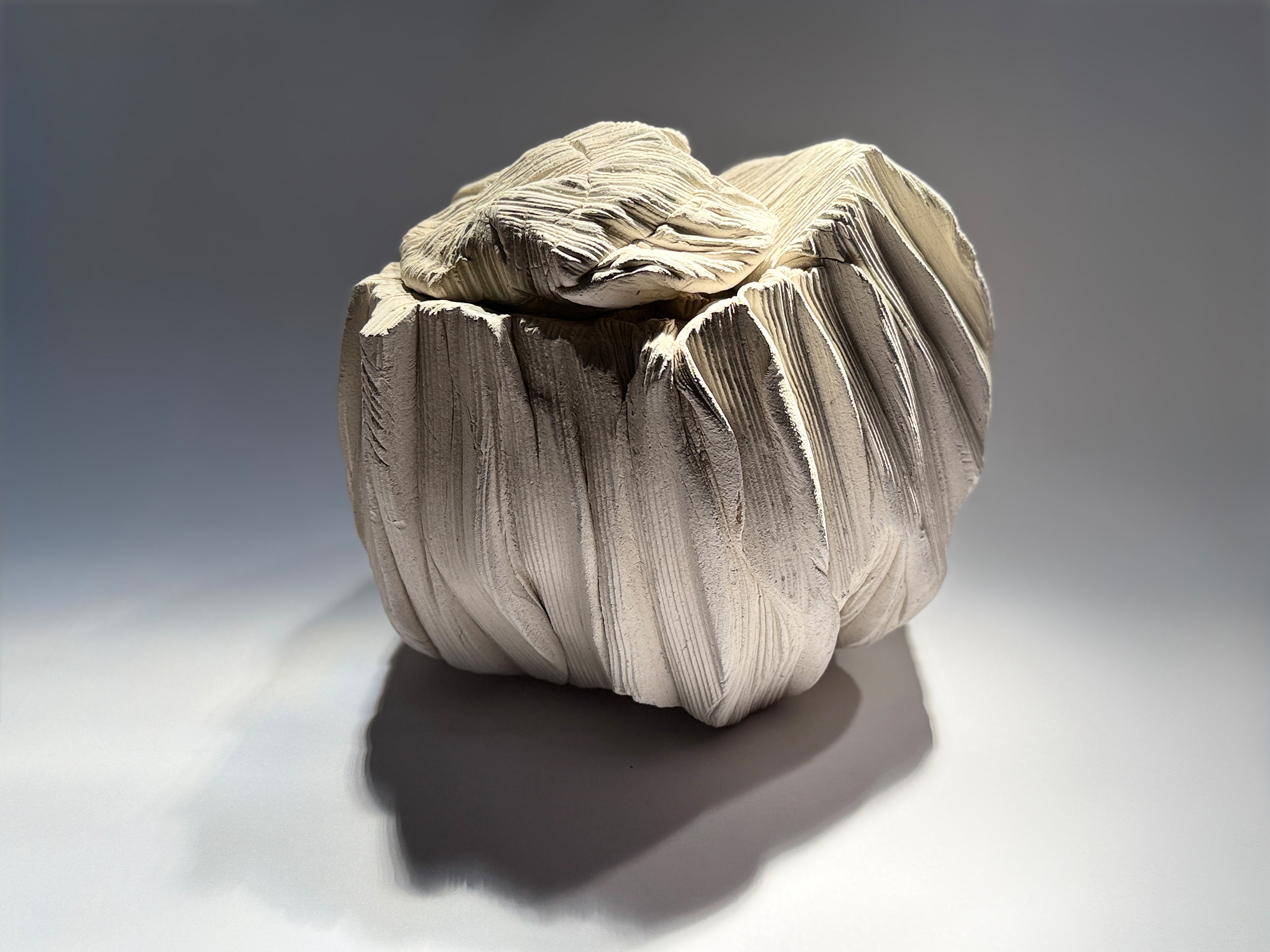 Schlafende Erde 8302 Schlafende Erde 8302