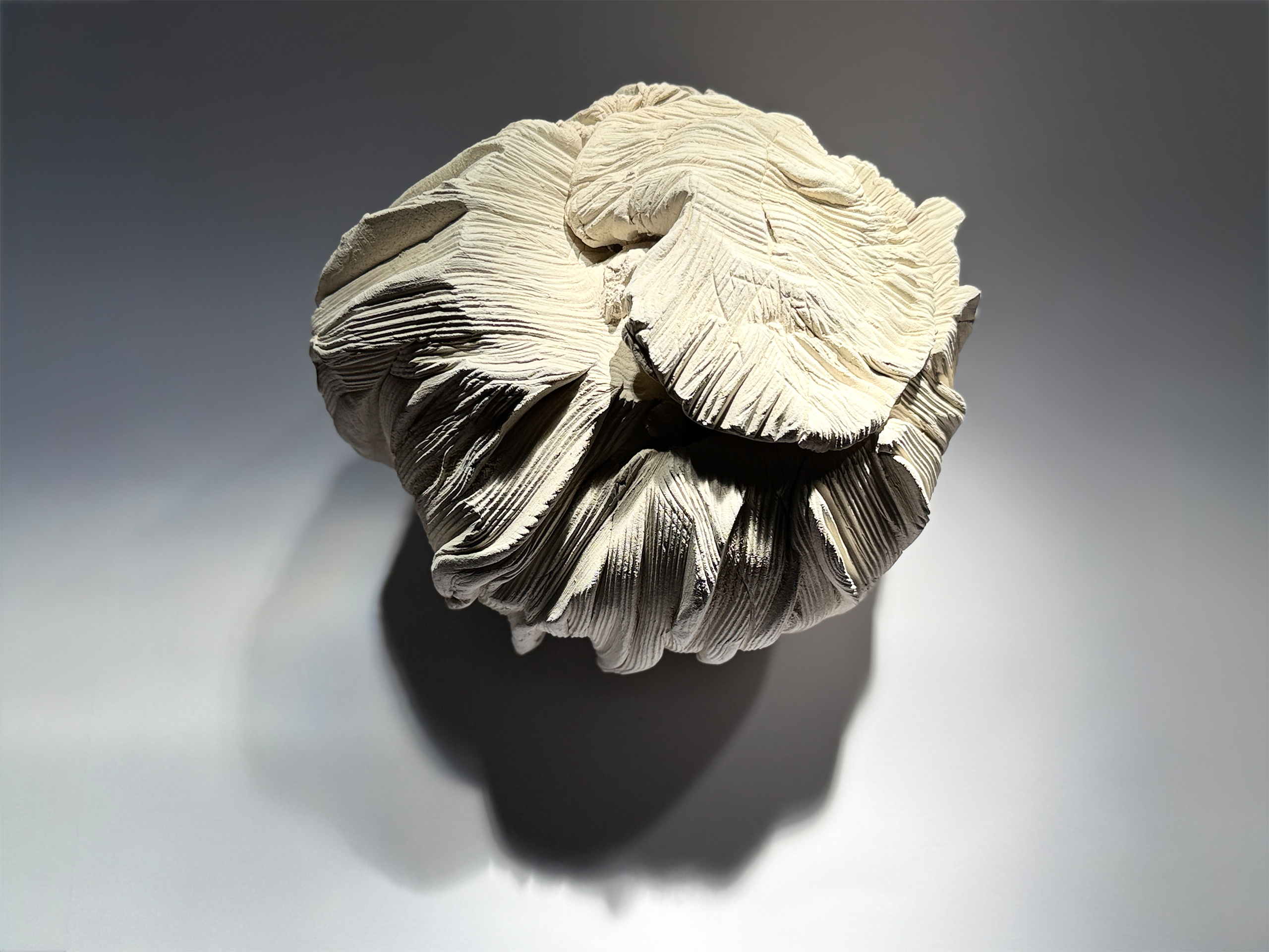 Schlafende Erde 8302 Schlafende Erde 8302