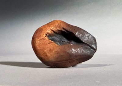 Knospe