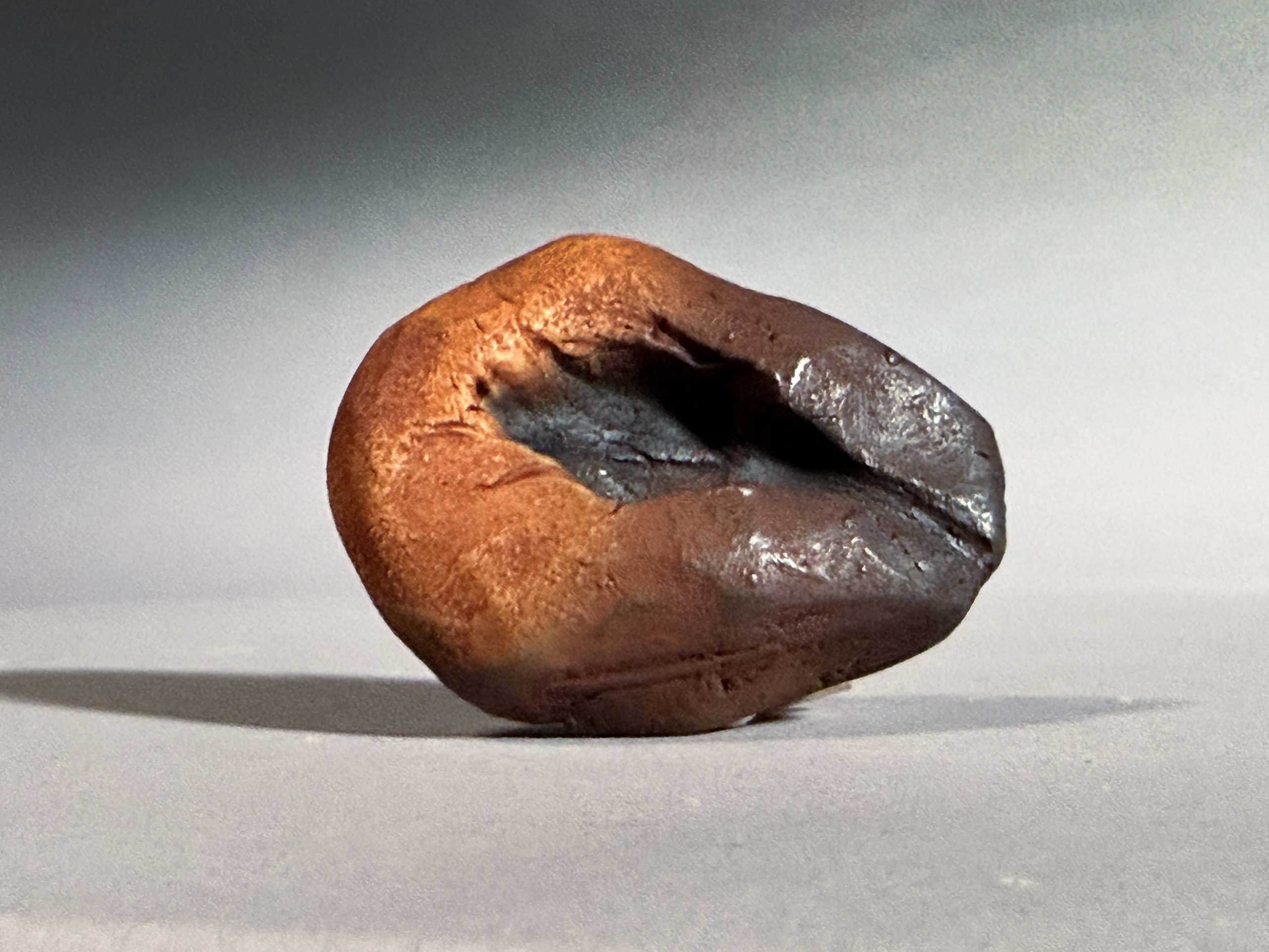 Knospe