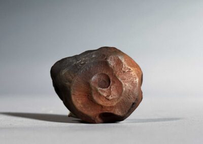 Schnecke