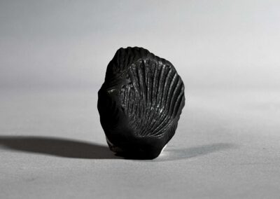 Shell
