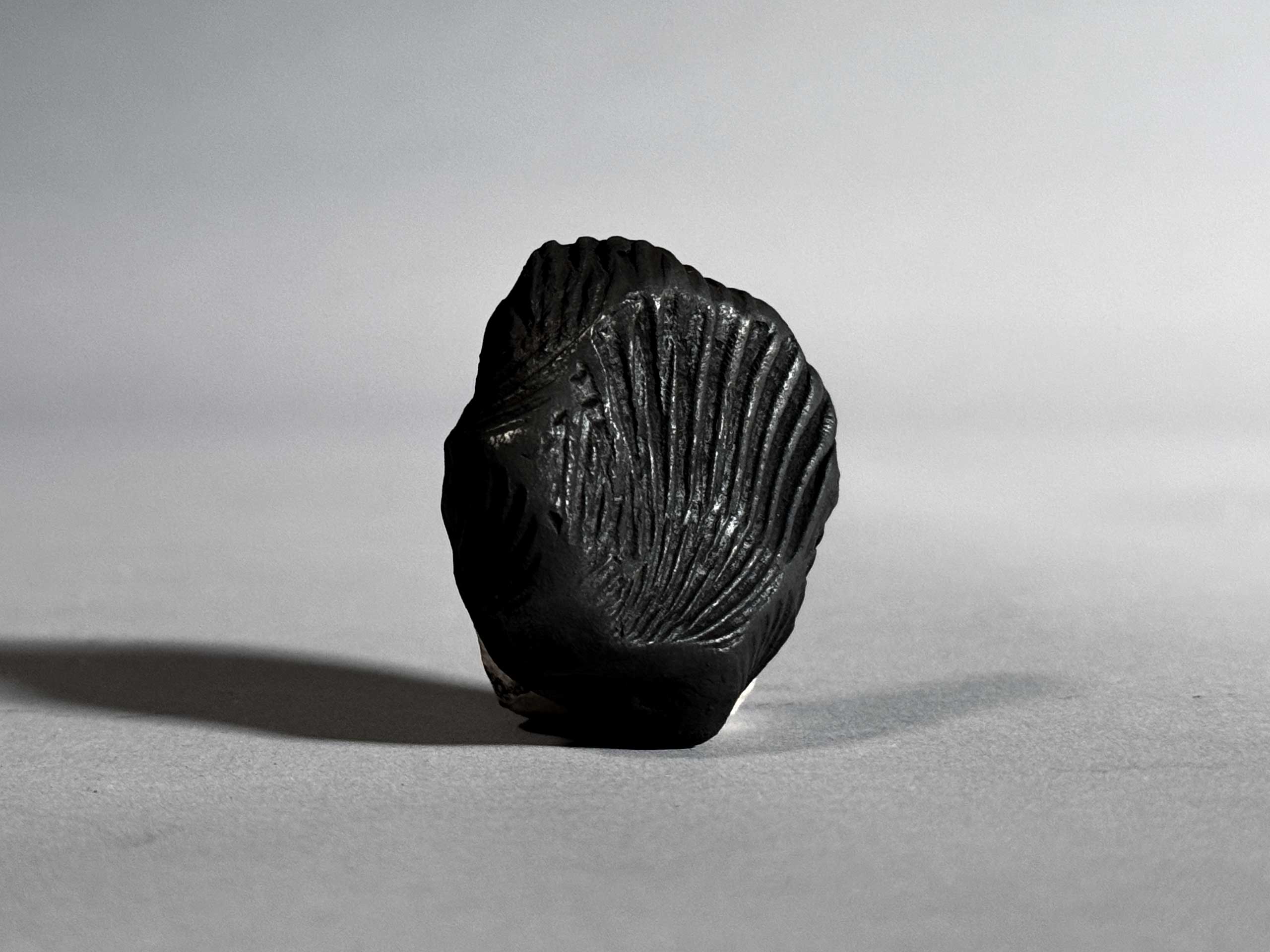 Shell