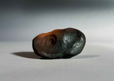 Snail